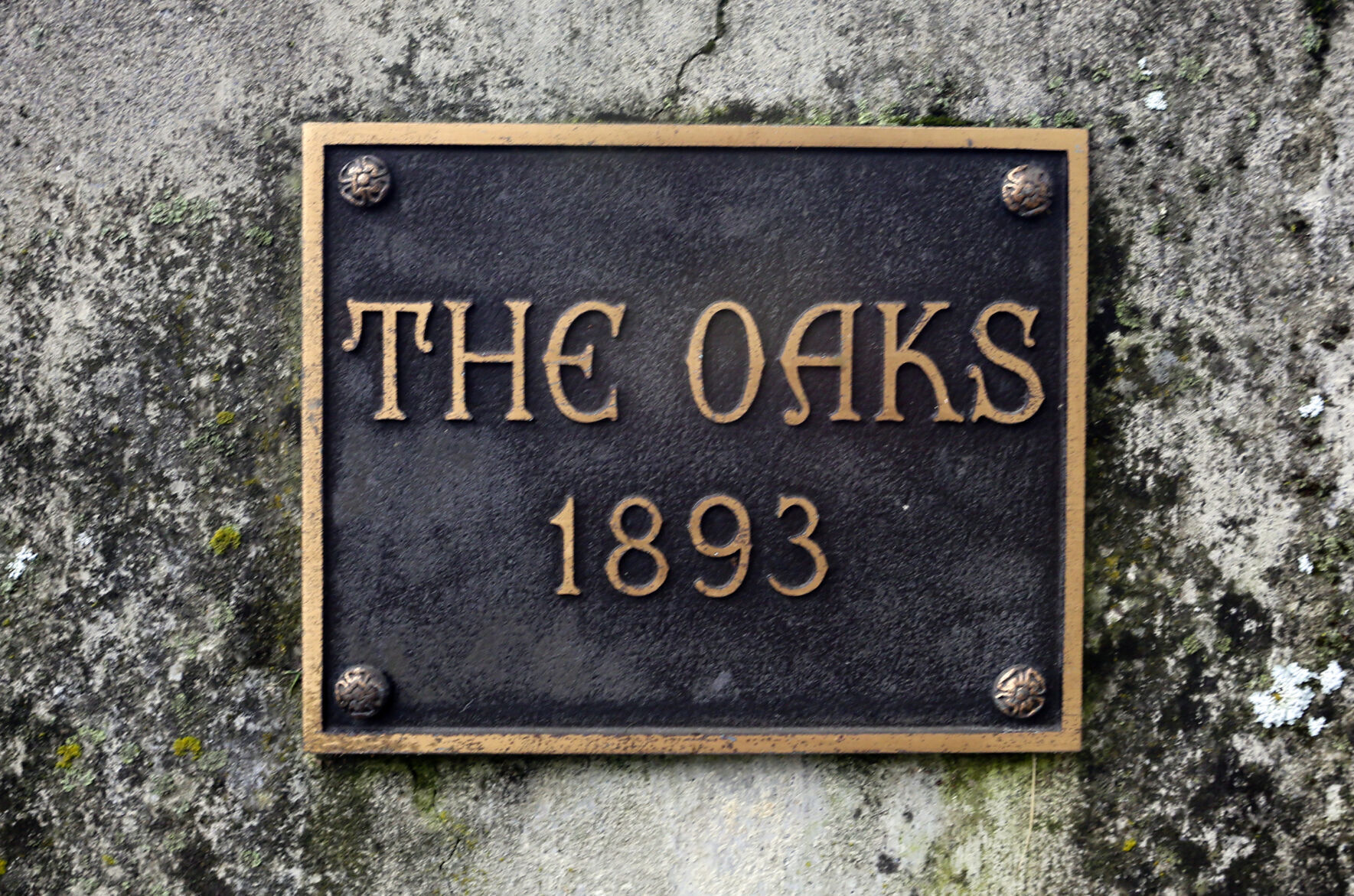 091221-roa-a1-oaks-01
